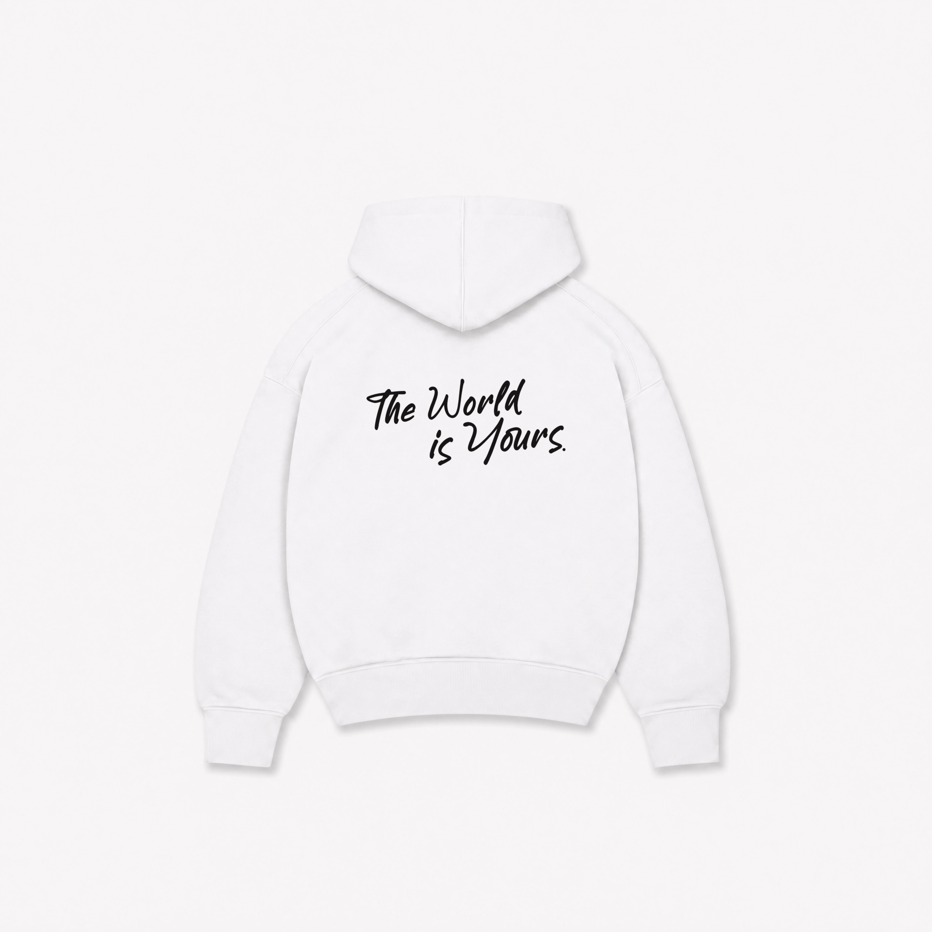 WORLD IS YOURS HOODIE