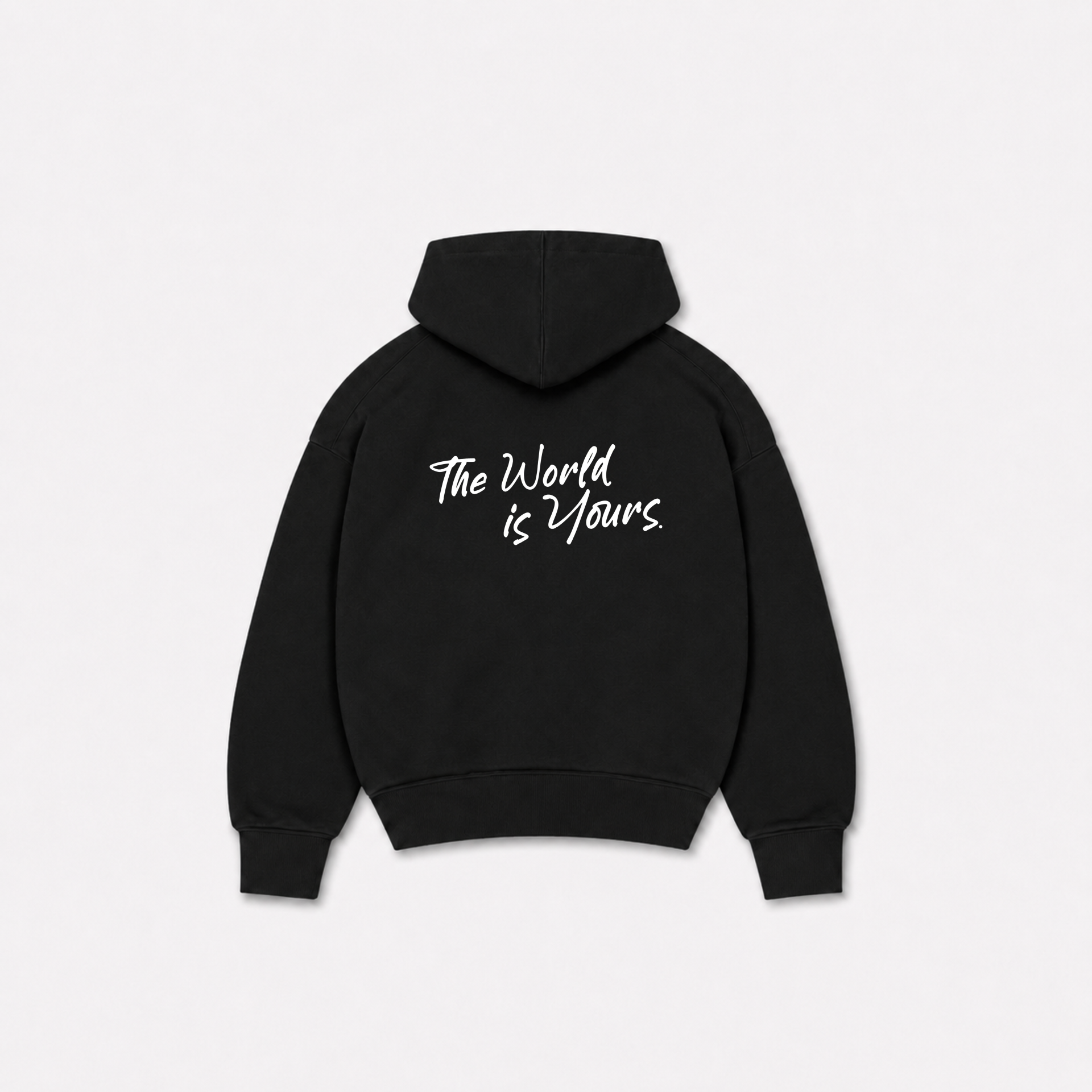 WORLD IS YOURS HOODIE